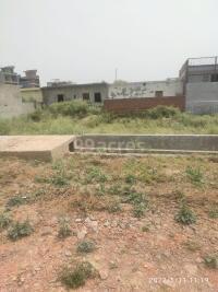 latest property