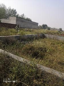 latest property