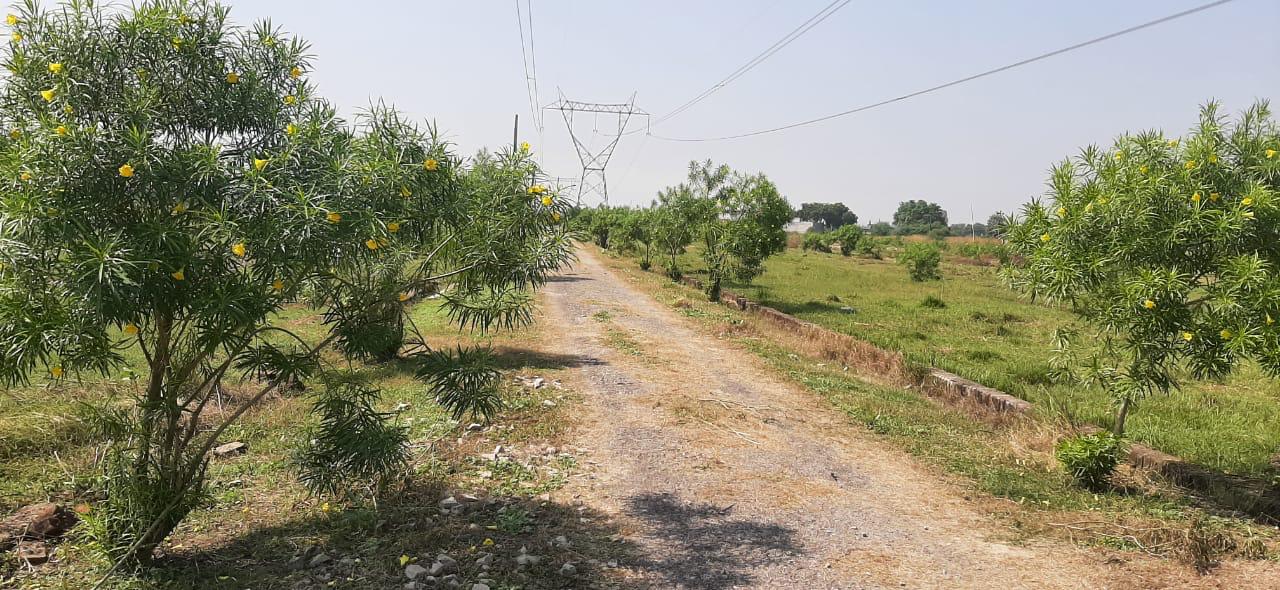 latest property