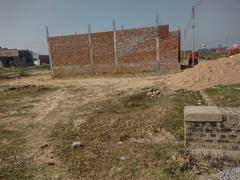 latest property