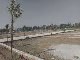latest property