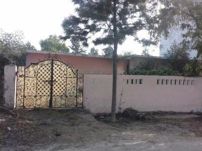 latest property