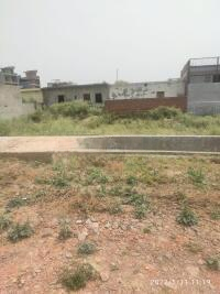 latest property