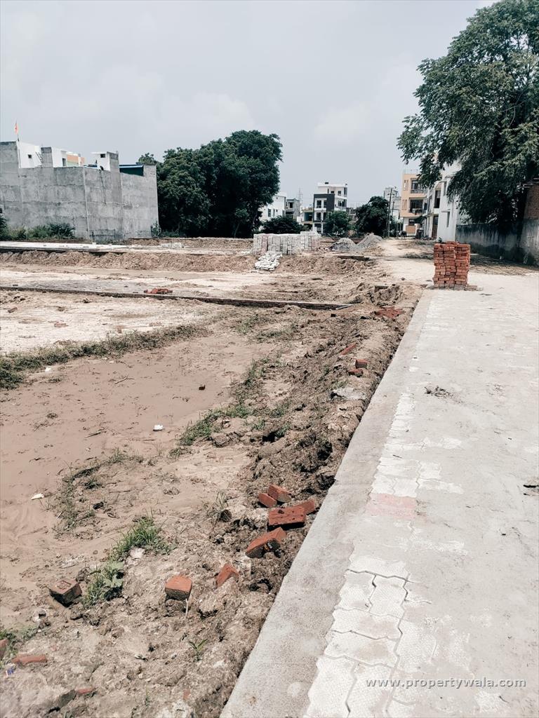 latest property